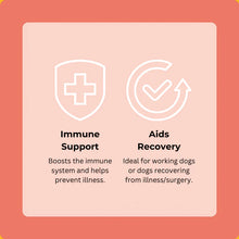 Load image into Gallery viewer, WILD VENISON & ACV | Frozen Treats| SUPPLEMENT