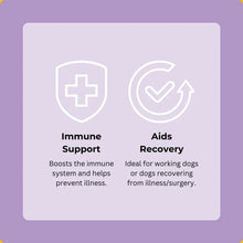 Load image into Gallery viewer, FESTIVE TURKEY BROTH | Frozen Treats | SUPPLEMENT