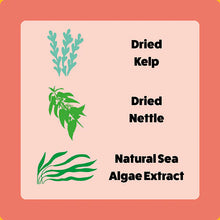 Load image into Gallery viewer, WILD VENISON & ACV | Frozen Treats| SUPPLEMENT