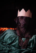 Load image into Gallery viewer, The Christmas Portraits | Photography | HIGFORD