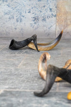Load image into Gallery viewer, Lamb Horn | Natural Treats