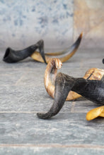 Load image into Gallery viewer, Lamb Horn | Natural Treats