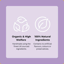 Load image into Gallery viewer, FESTIVE TURKEY BROTH | Frozen Treats | SUPPLEMENT
