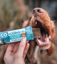 Load image into Gallery viewer, Oceans Protein Bar | Natural Treats
