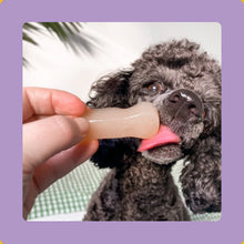 Load image into Gallery viewer, FESTIVE TURKEY BROTH | Frozen Treats | SUPPLEMENT
