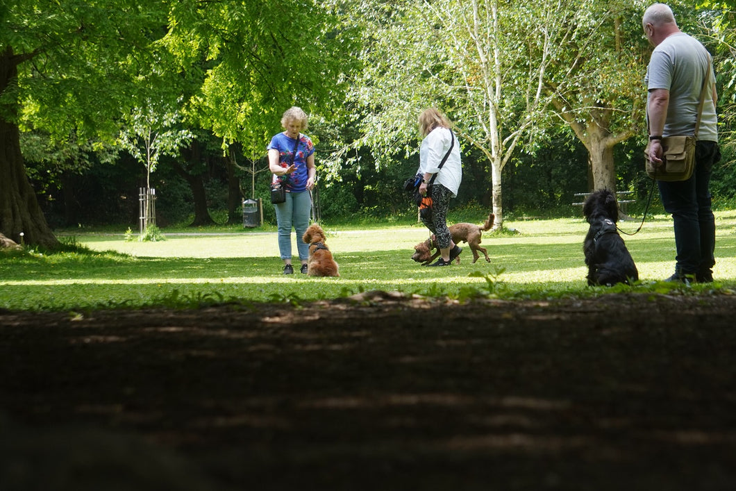 Real World Training Workshop | Tuesday 14th October 1:30pm
