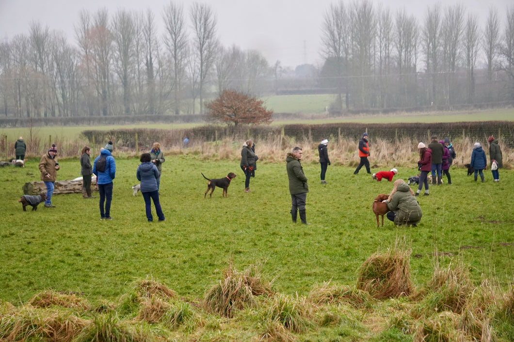 Santa Social Walk | Sunday 14th December | 2:00pm