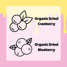 Load image into Gallery viewer, BERRY BOOST | Frozen Treat | SUPPLEMENT
