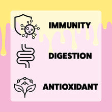 Load image into Gallery viewer, BERRY BOOST | Frozen Treat | SUPPLEMENT
