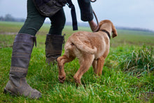 Load image into Gallery viewer, Puppy Training Course | Sunday 2nd March 10:00am
