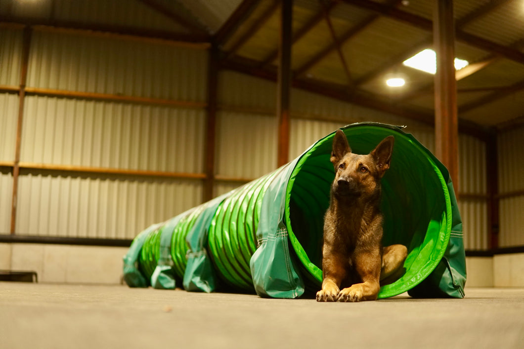 Agility Foundations Training Workshop | Monday 15th September 6:00pm