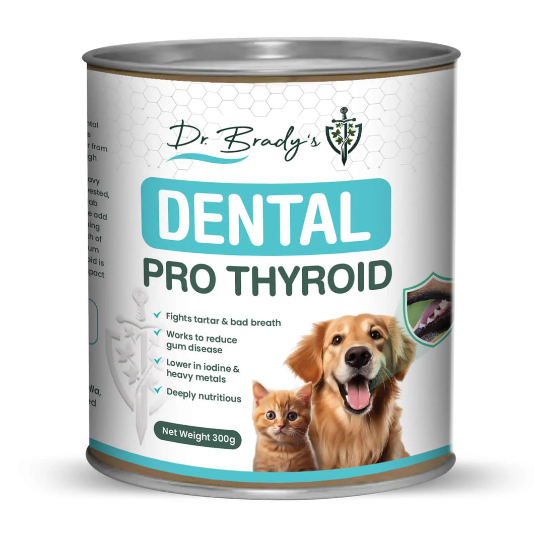 Dental Pro Thyroid Seaweed Powder 150g | Supplement