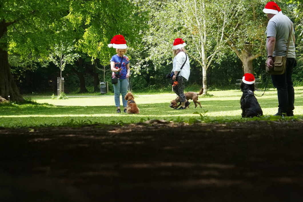 Real World Training Workshop | Tuesday 16th December 1:30pm