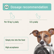 Load image into Gallery viewer, DENTAL POWDER | 80g | SUPPLEMENT

