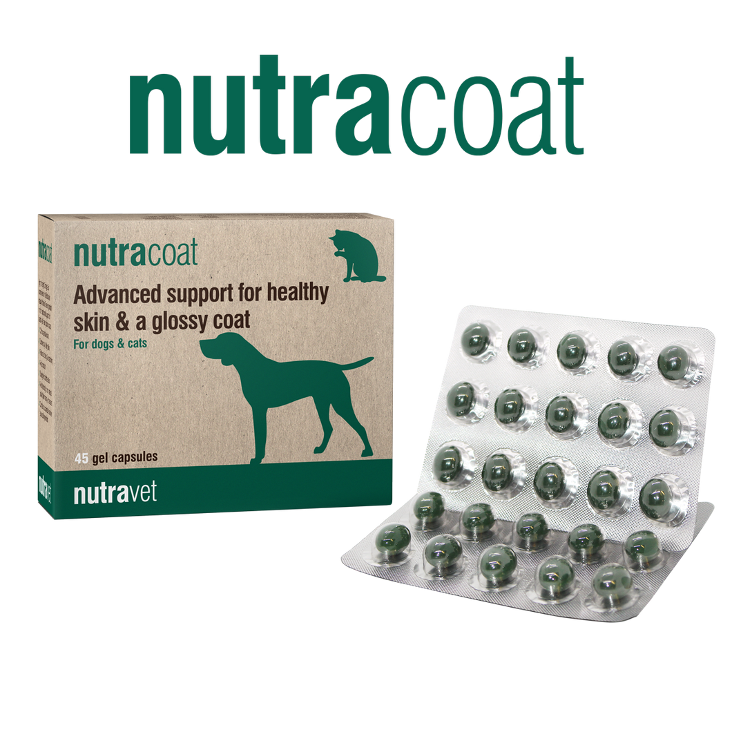 Nutracoat | for skin & coat health
