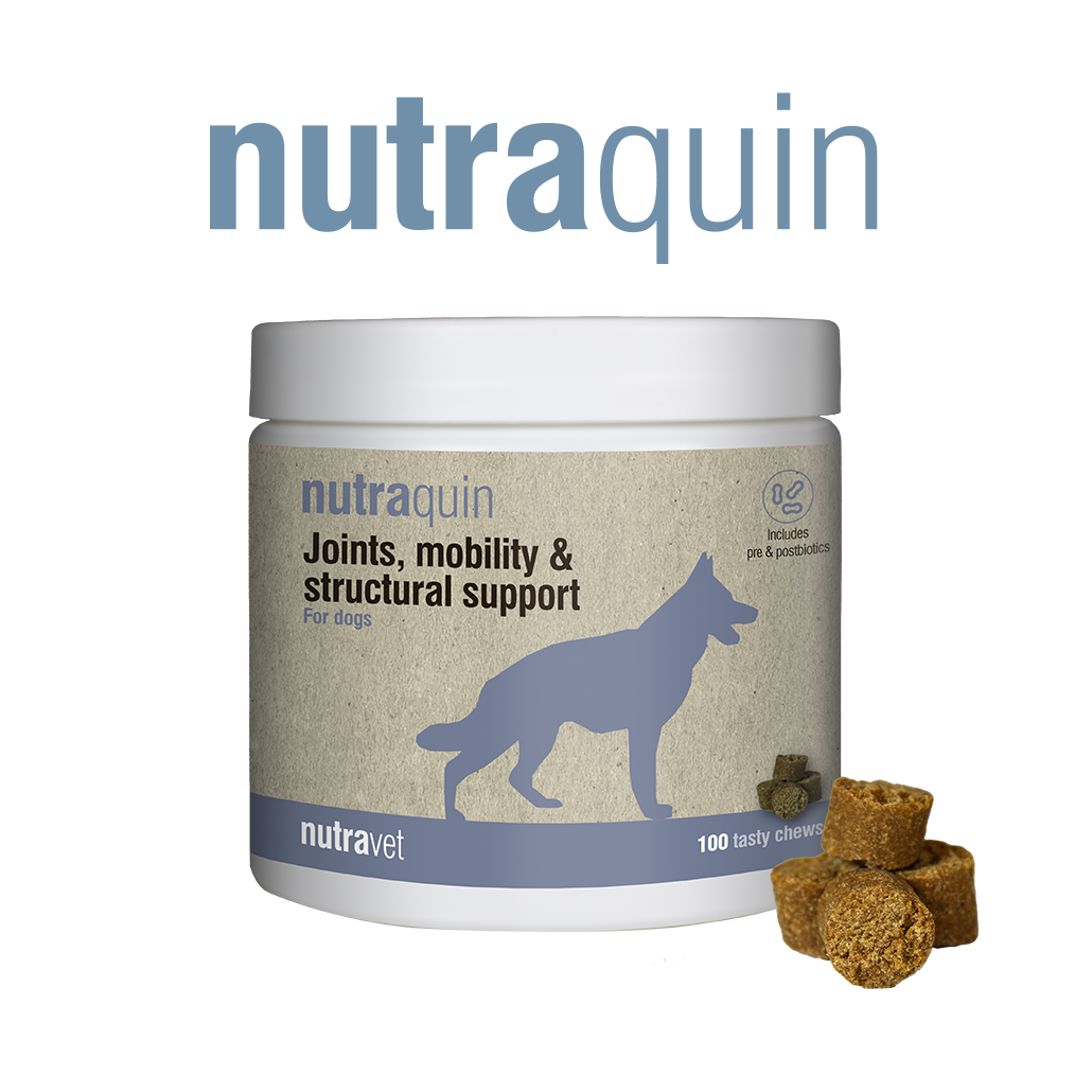 Nutraquin Chews | for join support