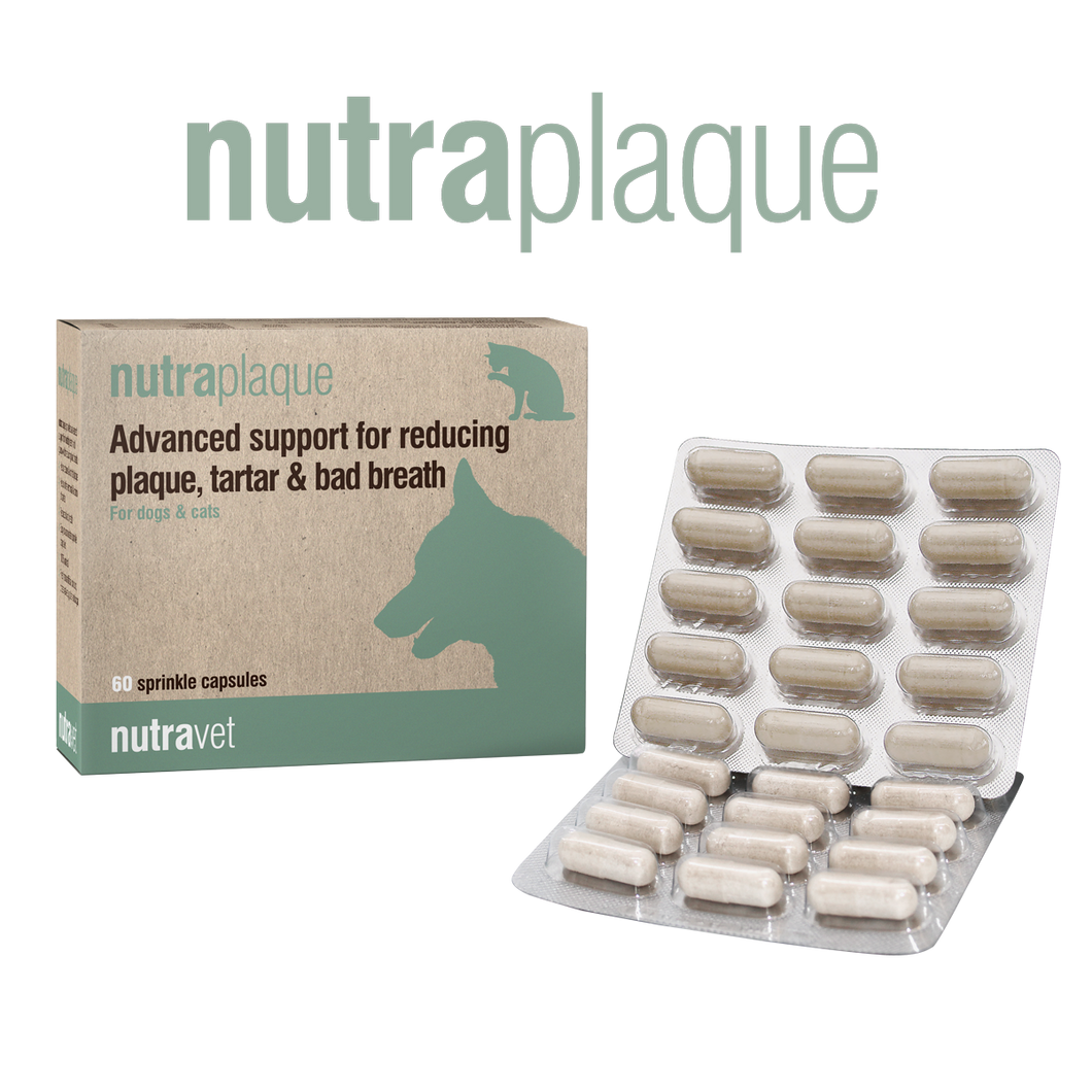 Nutraplaque | for tartar & bad breath