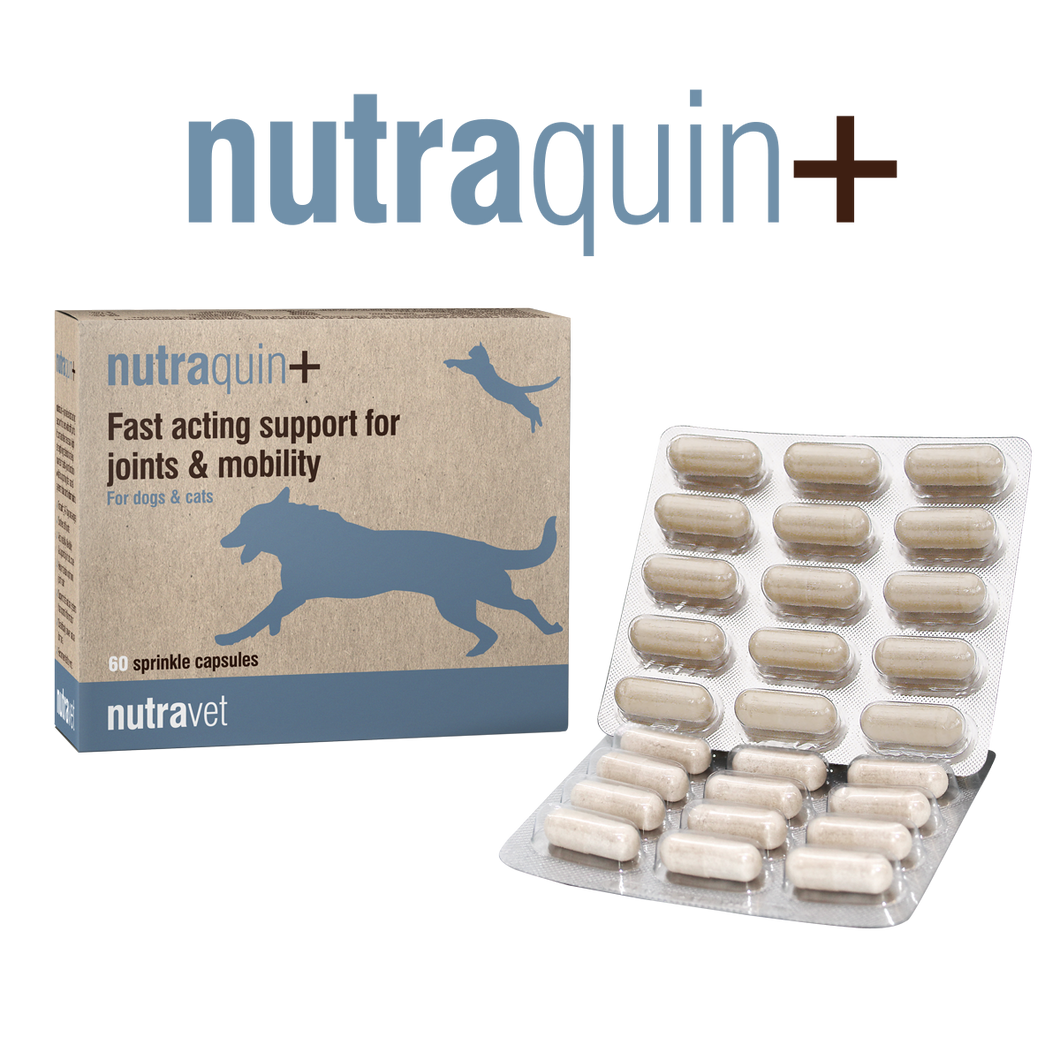 Nutraquin+ | Support for joints & mobility