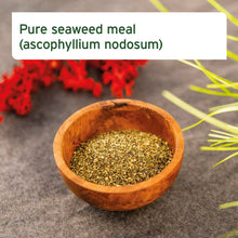 Load image into Gallery viewer, SEAWEED POWDER | 250g | SUPPLEMENT
