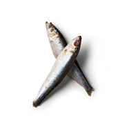 Fresh Sprats Whole | Fresh Treats