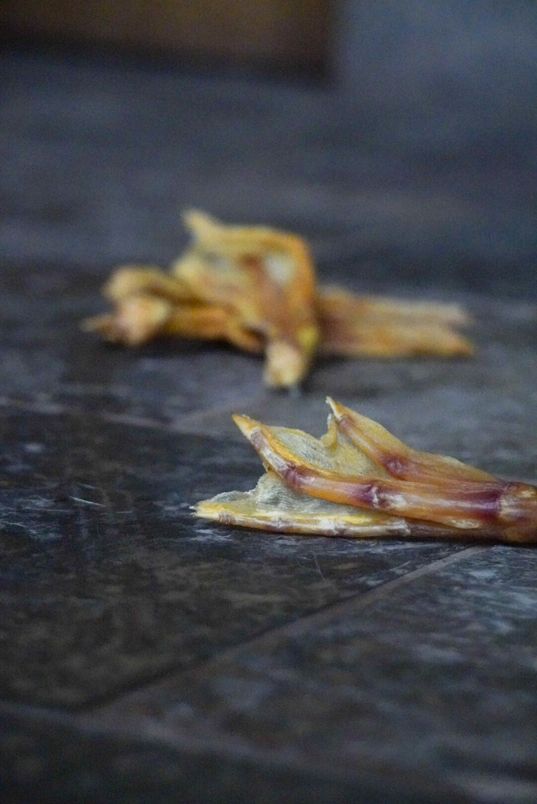 Duck Foot | Natural Treats